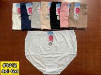 MAJTKI DAMSKIE (4XL-6XL /24szt)