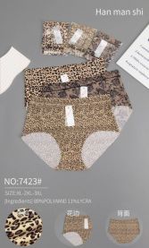 MAJTKI DAMSKIE (XL-3XL/24szt)