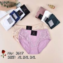 MAJTKI DAMSKIE (XL-3XL/24szt)