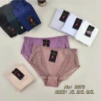 MAJTKI DAMSKIE (XL-3XL/24szt)