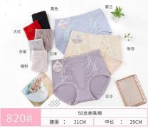 MAJTKI DAMSKIE (Uniwersalny/24szt)