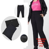 PLUS_Spodnie elastyczny (2-6XL/12szt)