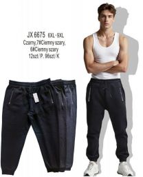 Spodnie dresowy męskie (6-9XL/12szt)