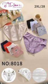 MAJTKI DAMSKIE (2XL/24szt)