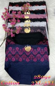 Majtki damskie (3-5XL/24szt)