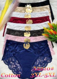 Majtki damskie (3-5XL/24szt)