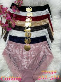 Majtki damskie (3-5XL/24szt)