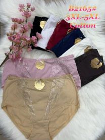 Majtki damskie (3-5XL/24szt)