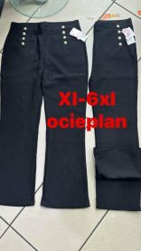 PLUS_Spodnie elastyczny (XL-6XL/12szt)