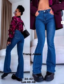 Spodnie jeansowe damskie (34-42/10szt)