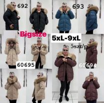 Kurtka damskie (5-9XL/5szt)