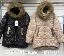 Kurtka damskie (3XL-7XL/5szt)