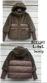 Kurtka damskie (L-4XL/5szt)