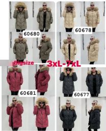 Kurtka damskie (3XL-7XL/5szt)