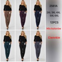 PLUS_Spodnie elastyczny (2-6XL/12szt)