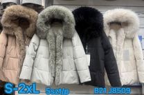 Kurtka damskie (S-2XL/5szt)