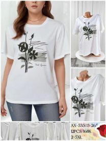 Bluzka damska (2-5XL/12szt)