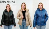 Kurtka damskie (3XL-7XL/5szt)
