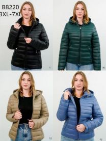 Kurtka damskie (3XL-7XL/5szt)