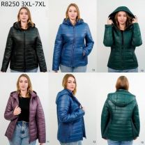 Kurtka damskie (3XL-7XL/5szt)