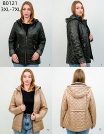 Kurtka damskie (3XL-7XL/5szt)