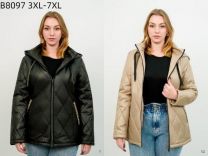 Kurtka damskie (3XL-7XL/5szt)