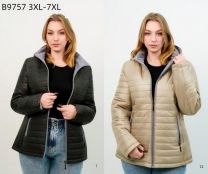 Kurtka damskie (3XL-7XL/5szt)