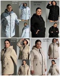 Kurtka damskie (2XL-6XL/5szt)