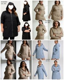 Kurtka damskie (2XL-6XL/5szt)