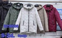 Kurtka damskie (S-2XL/5szt)