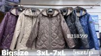 Kurtka damskie (3-7XL/5szt)