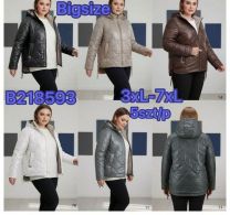 Kurtka damskie (3-7XL/5szt)