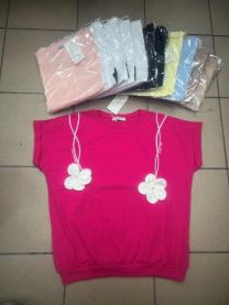 Bluzki Turecka (uniwersalny/12szt)