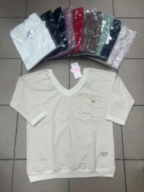 Bluzki Turecka (uniwersalny/12szt)