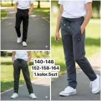 Spodnie dresowe chłopięce (140-164/5szt)