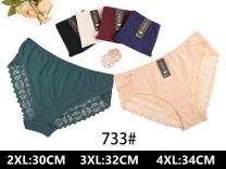 MAJTKI DAMSKIE (2-4XL /24szt)