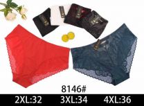 MAJTKI DAMSKIE (2-4XL /24szt)