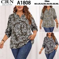 Bluzka damska (M-4XL/12szt)