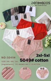 Majtki damskie (3-5XL/24szt)