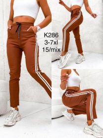 Spodnie elastyczny (3-7XL/15szt)