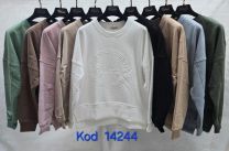 Bluzki Turecka (uniwersalny/12szt)