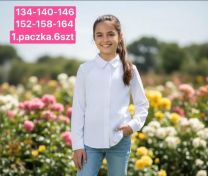 Koszula dziewczęca (134-164/6szt)