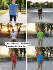 Bluzka Chłopięce (140-164/5szt)