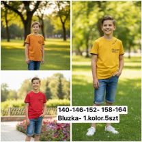 Bluzka Chłopięce (140-164/5szt)