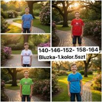 Bluzka Chłopięce (140-164/5szt)
