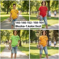 Bluzka Chłopięce (140-164/5szt)