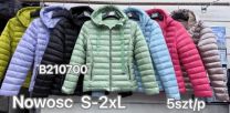 Kurtka damskie (S-2XL/5szt)