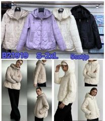 Kurtka damskie (S-2XL/5szt)