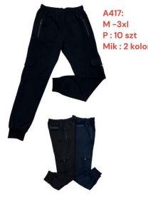 Spodnie dresowy męskie (M-3XL/10szt)