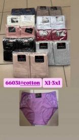 MAJTKI DAMSKIE (XL-3XL/24szt)